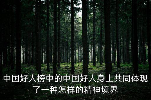 中國好人榜中的中國好人身上共同體現了一種怎樣的精神境界