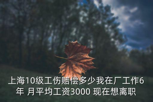 上海10級工傷賠償多少我在廠工作6年 月平均工資3000 現(xiàn)在想離職