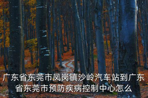 廣東省東莞市鳳崗鎮(zhèn)沙嶺汽車站到廣東省東莞市預防疾病控制中心怎么