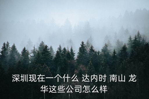 深圳現(xiàn)在一個什么 達內(nèi)時 南山 龍華這些公司怎么樣
