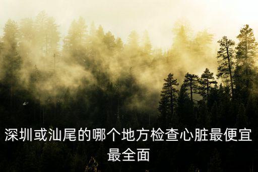 深圳或汕尾的哪個(gè)地方檢查心臟最便宜最全面