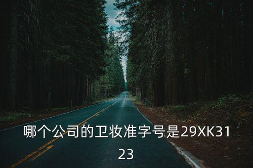 哪個公司的衛妝準字號是29XK3123