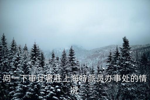問(wèn)一下審計(jì)署駐上海特派員辦事處的情況