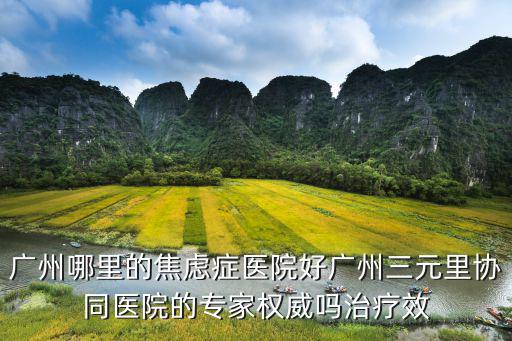 廣州哪里的焦慮癥醫(yī)院好廣州三元里協(xié)同醫(yī)院的專家權(quán)威嗎治療效