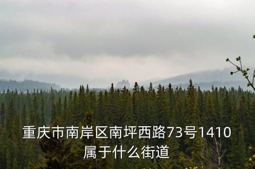 重慶市南岸區南坪西路73號1410屬于什么街道