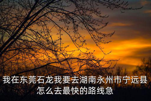 我在東莞石龍我要去湖南永州市寧遠縣怎么去最快的路線急