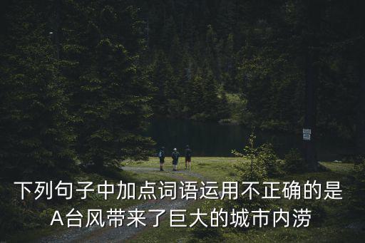 下列句子中加點詞語運(yùn)用不正確的是 A臺風(fēng)帶來了巨大的城市內(nèi)澇