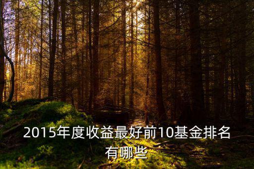 2015年度收益最好前10基金排名有哪些