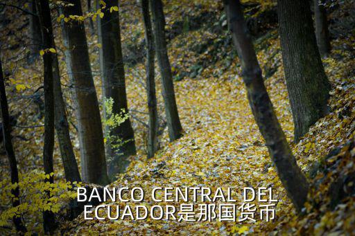 BANCO CENTRAL DEL ECUADOR是那國貨幣