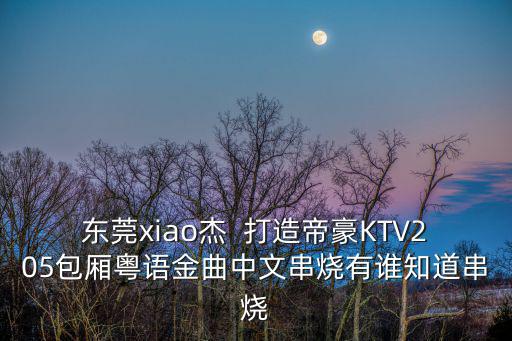 東莞xiao杰  打造帝豪KTV205包廂粵語(yǔ)金曲中文串燒有誰(shuí)知道串燒