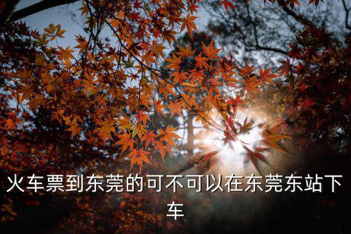 火車(chē)票到東莞的可不可以在東莞東站下車(chē)