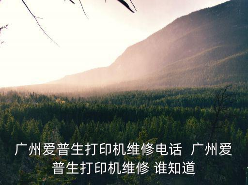 廣州愛普生打印機維修電話  廣州愛普生打印機維修 誰知道
