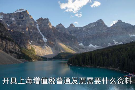 開具上海增值稅普通發(fā)票需要什么資料