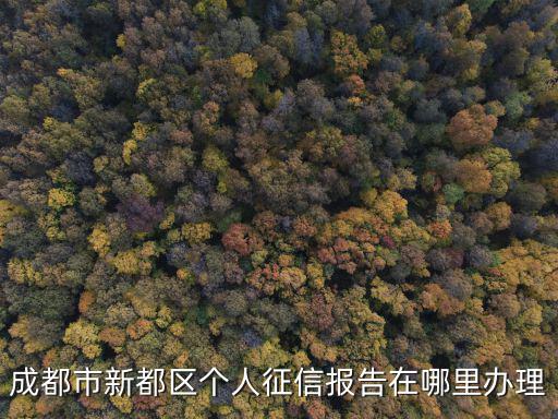 成都市新都區個人征信報告在哪里辦理
