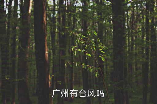 廣州9月2號有臺風嗎，廣州有臺風嗎