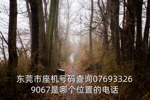 東莞市座機號碼查詢076933269067是哪個位置的電話