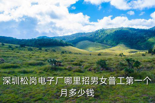深圳松崗電子廠哪里招男女普工第一個月多少錢