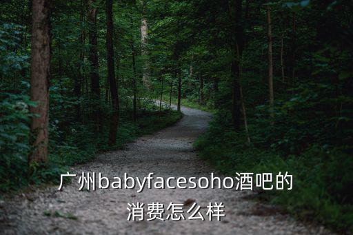 廣州babyfacesoho酒吧的消費怎么樣