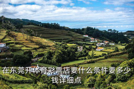 在東莞開體育彩票店要什么條件要多少錢詳細點