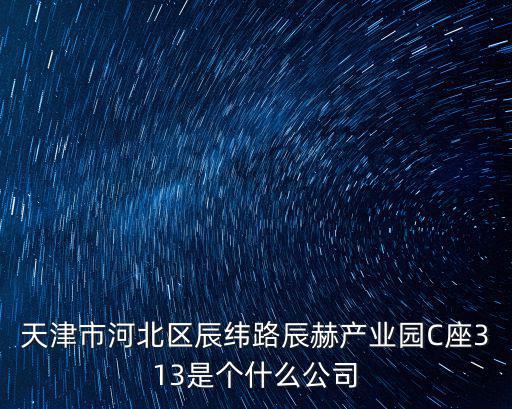 天津市河北區辰緯路辰赫產業園C座313是個什么公司