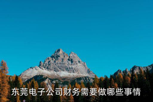 東莞電子公司財務需要做哪些事情