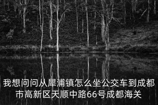 我想問問從犀浦鎮怎么坐公交車到成都市高新區天順中路66號成都海關