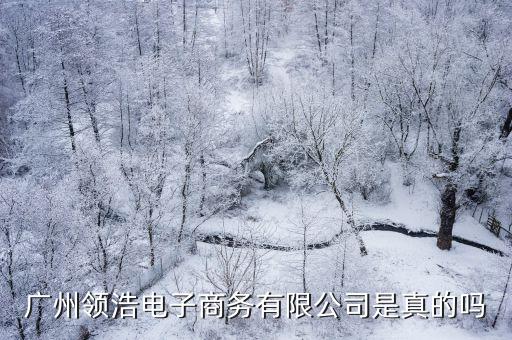 廣州領浩電子商務有限公司是真的嗎
