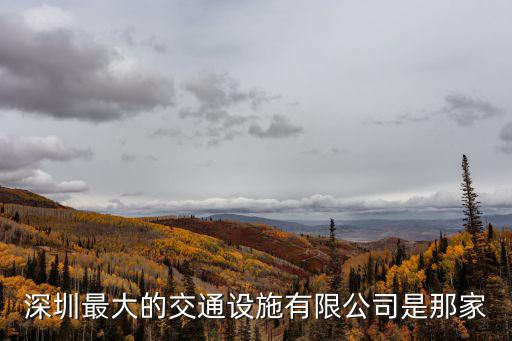 深圳最大的交通設施有限公司是那家