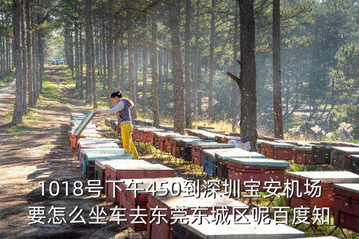 1018號下午450到深圳寶安機場要怎么坐車去東莞東城區呢百度知