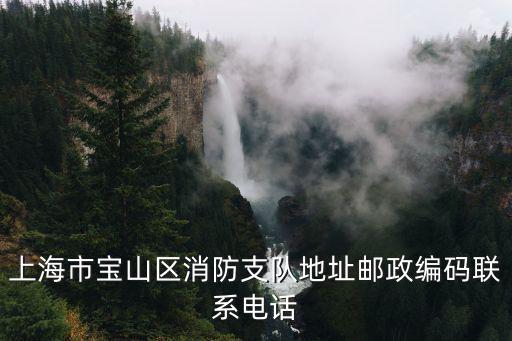 上海市寶山區消防支隊地址郵政編碼聯系電話