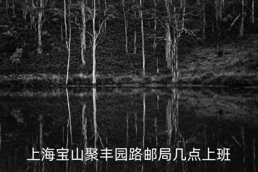 上海市寶山郵管局電話，上海寶山聚豐園路郵局幾點上班
