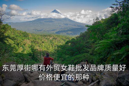 東莞厚街哪有外貿(mào)女鞋批發(fā)品牌質(zhì)量好價格便宜的那種