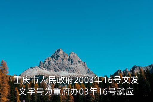 重慶市政府信息公開格式，重慶市人民政府2003年16號文發文字號為重府辦03年16號就應