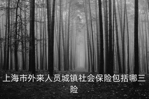 上海市外來人員城鎮社會保險包括哪三險