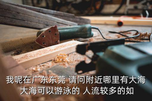 我呢在廣東東莞 請問附近哪里有大海 大海可以游泳的 人流較多的如