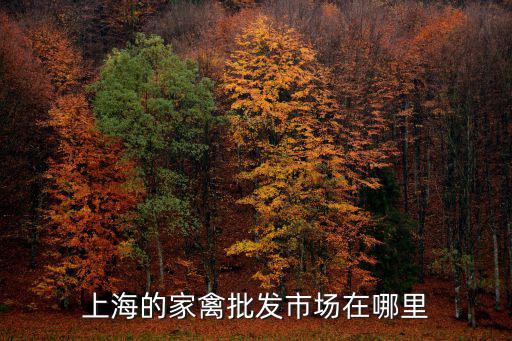 上海市禽類交易網，上海的家禽批發市場在哪里