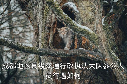 成都地區(qū)縣級(jí)交通行政執(zhí)法大隊(duì)參公人員待遇如何