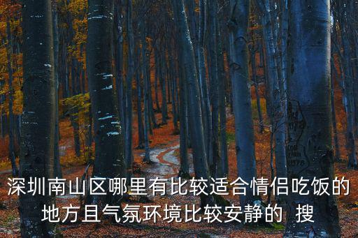 深圳南山區哪里有比較適合情侶吃飯的地方且氣氛環境比較安靜的  搜