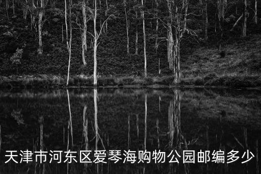 天津市河東區愛琴海購物公園郵編多少