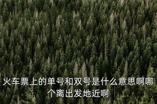 火車票上的單號(hào)和雙號(hào)是什么意思啊哪個(gè)離出發(fā)地近啊