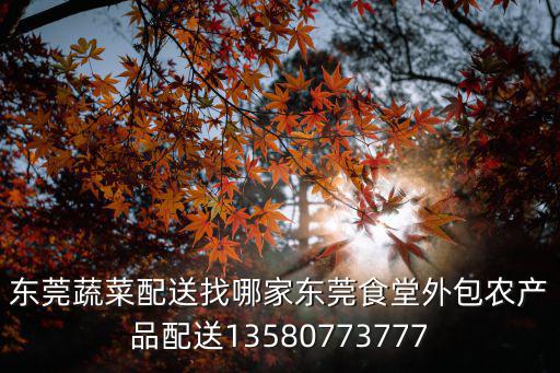 東莞蔬菜配送找哪家東莞食堂外包農產品配送13580773777