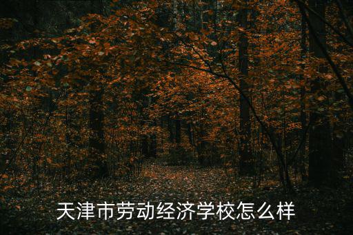 天津市勞動(dòng)經(jīng)濟(jì)學(xué)校怎么樣