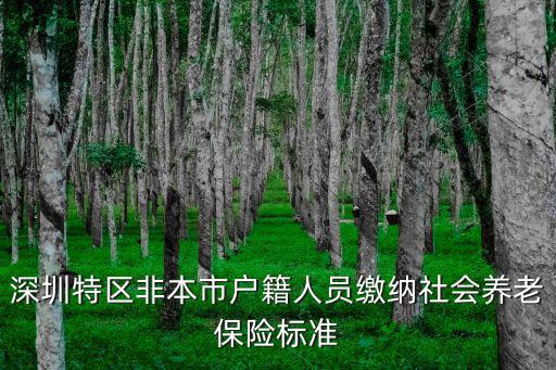 深圳特區(qū)非本市戶籍人員繳納社會養(yǎng)老保險(xiǎn)標(biāo)準(zhǔn)