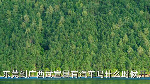 東莞到廣西武宣縣有汽車嗎什么時候開
