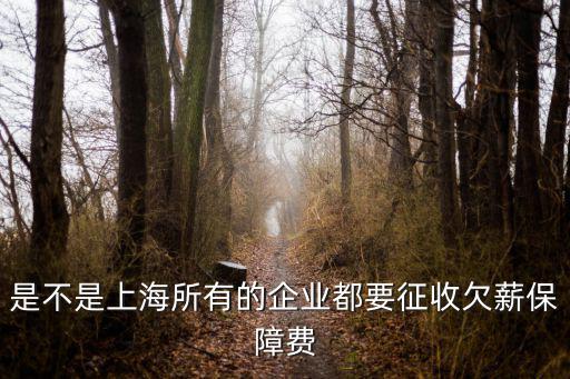 是不是上海所有的企業(yè)都要征收欠薪保障費(fèi)