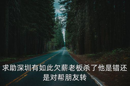 深圳市森思博科技有限公司，求助深圳有如此欠薪老板殺了他是錯還是對幫朋友轉