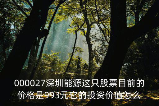 000027深圳能源這只股票目前的價格是993元它的投資價值怎么