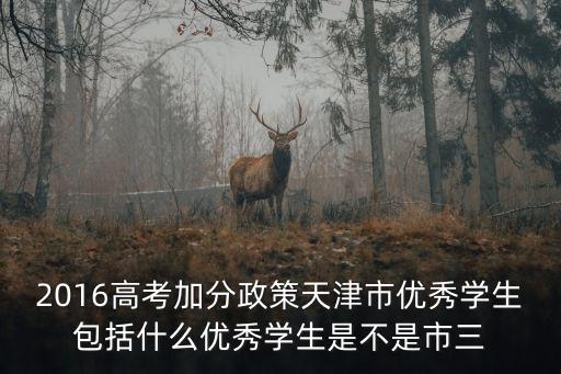 2016高考加分政策天津市優秀學生包括什么優秀學生是不是市三