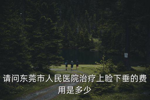 東莞市宏圖立嬌，在東莞長安夏邊發生的民事糾紛是不是在東莞市大嶺山第二人民法院去