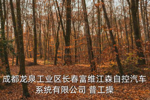 成都龍泉工業(yè)區(qū)長(zhǎng)春富維江森自控汽車(chē)系統(tǒng)有限公司 普工操